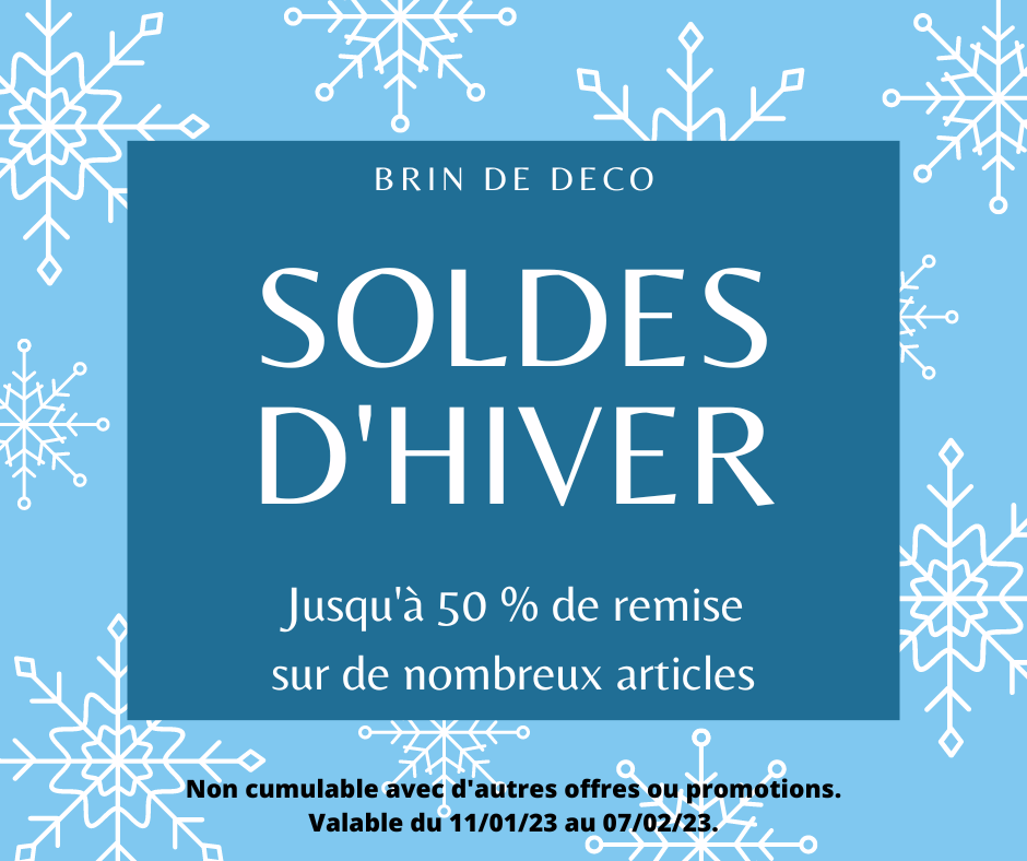 BRIN DE DECO - Troyes : Soldes d'hiver